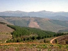 Mpumalanga